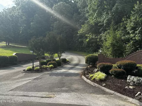 Buckhead Tr, White Pine, TN 37890 photo 5