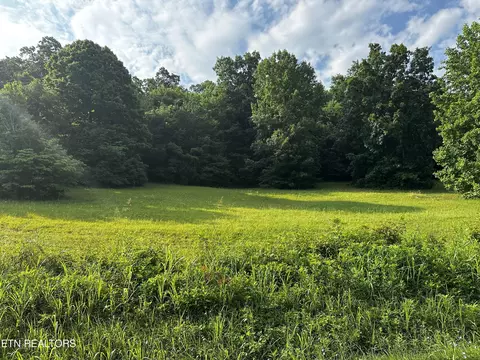 Buckhead Tr, White Pine, TN 37890