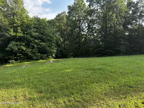 Buckhead Tr, White Pine, TN 37890 photo 6