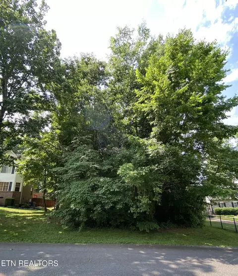 7313 Royal Springs Blvd, Knoxville, TN 37918