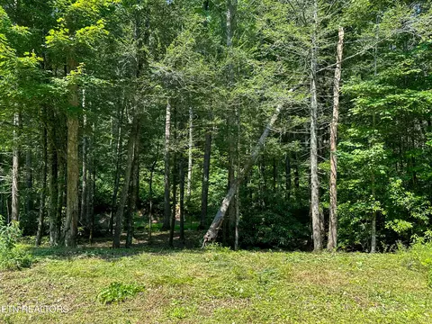 Trillium Cove Lane, Sevierville, TN 37862