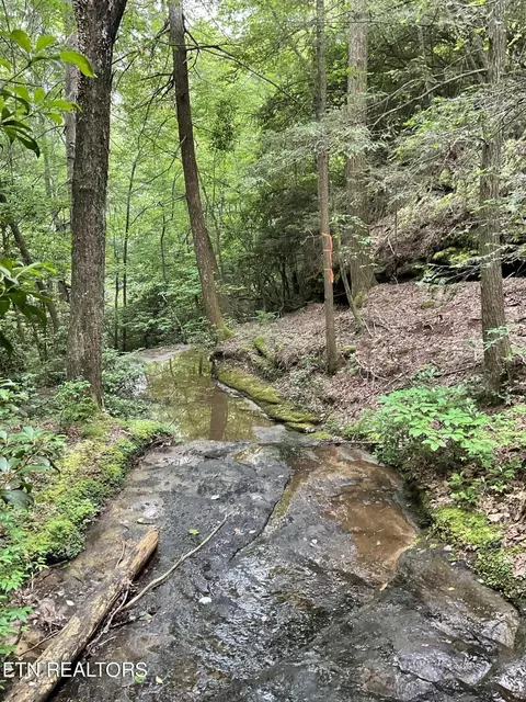 Harv Loop, Monterey, TN 38574