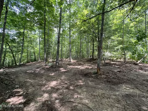 Woods Hollow Lane, Crossville, TN 38571