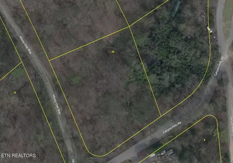 Canyon Hills Rd, Seymour, TN 37865