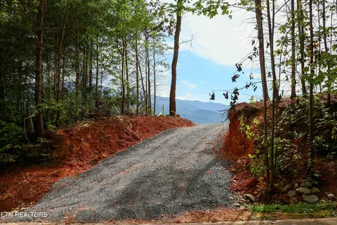 250 Sonshine Ridge Rd, Cosby, TN 37722