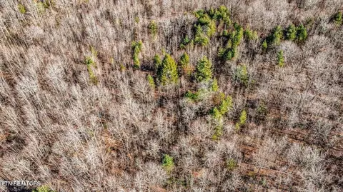 Jane Phillips Rd, Oneida, TN 37841 photo 11