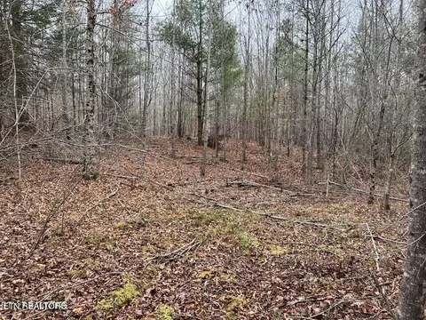 Jane Phillips Rd, Oneida, TN 37841 photo 2