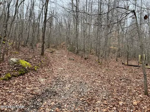 Jane Phillips Rd, Oneida, TN 37841 photo 3