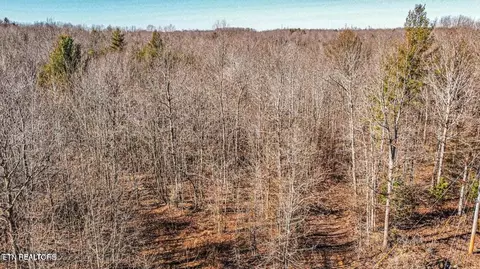 Jane Phillips Rd, Oneida, TN 37841 photo 13