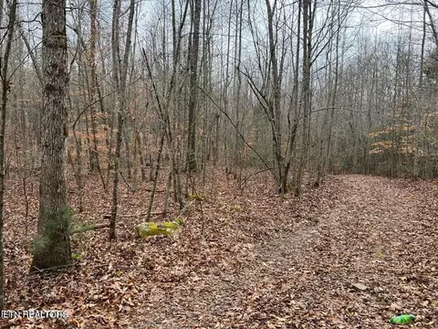 Jane Phillips Rd, Oneida, TN 37841 photo 4