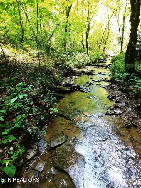lot10 Newcombe Branch Rd, Cosby, TN 37722