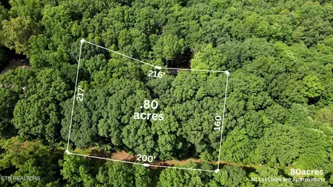 199 Tonya Ln, Harriman, TN 37748