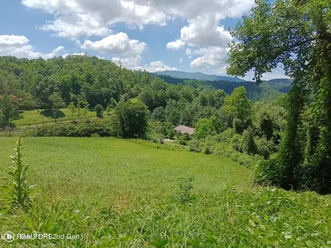 Holly Mountain Way, Hartford, TN 37753