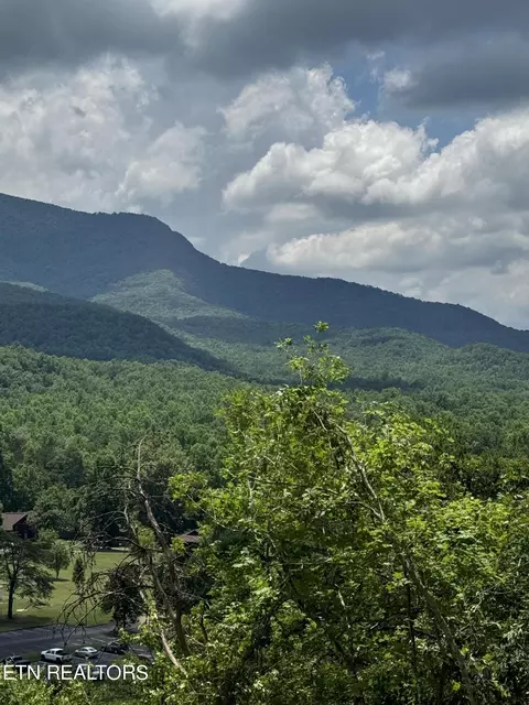 Castle Rd, Gatlinburg, TN 37738
