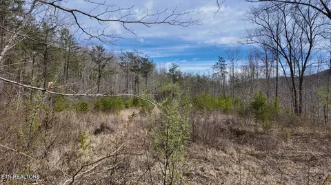 Tenn-ky State Line Tn, Winfield, TN 37892