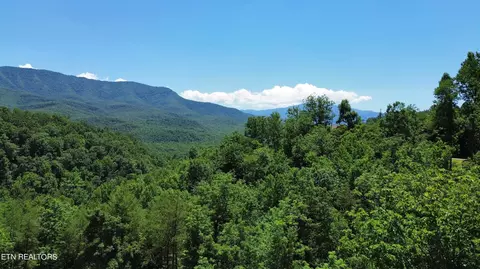 Vixen Run, Gatlinburg, TN 37738