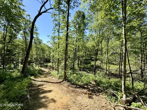 S Of Rome Rd, Deer Lodge, TN 37726