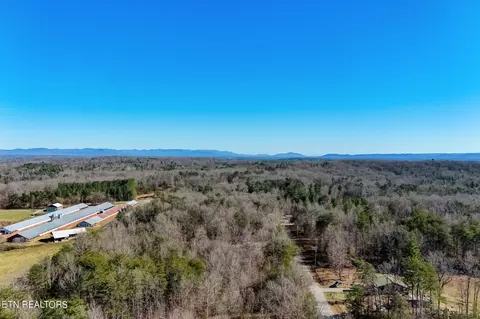 Susan Circle, Deer Lodge, TN 37726 photo 22