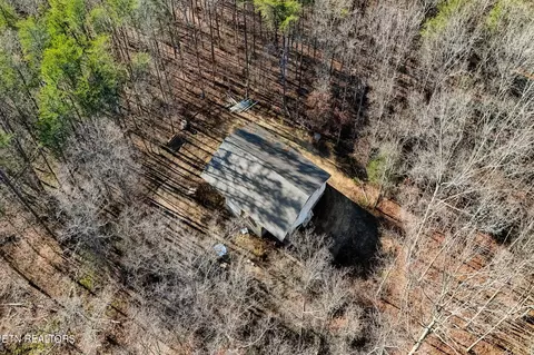 Susan Circle, Deer Lodge, TN 37726 photo 17