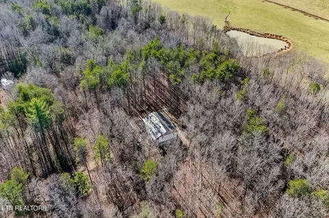 Susan Circle, Deer Lodge, TN 37726 photo 20