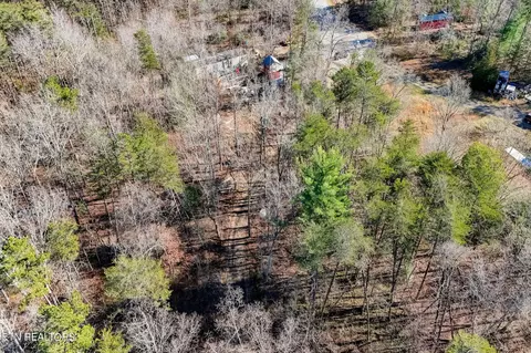 Susan Circle, Deer Lodge, TN 37726 photo 16