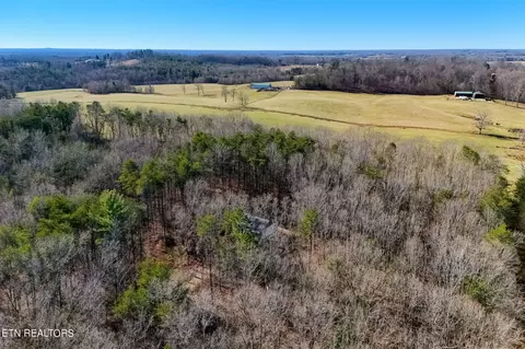 Susan Circle, Deer Lodge, TN 37726 photo 15