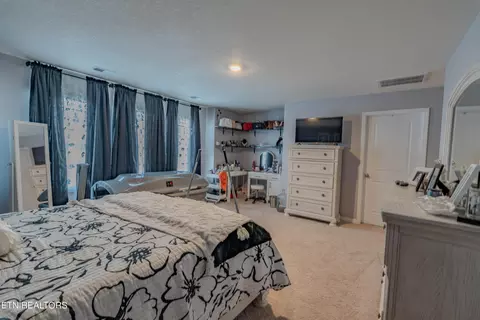 Bedroom - 216 Belle Ct, Talbott, TN 37877 photo 4 of 10