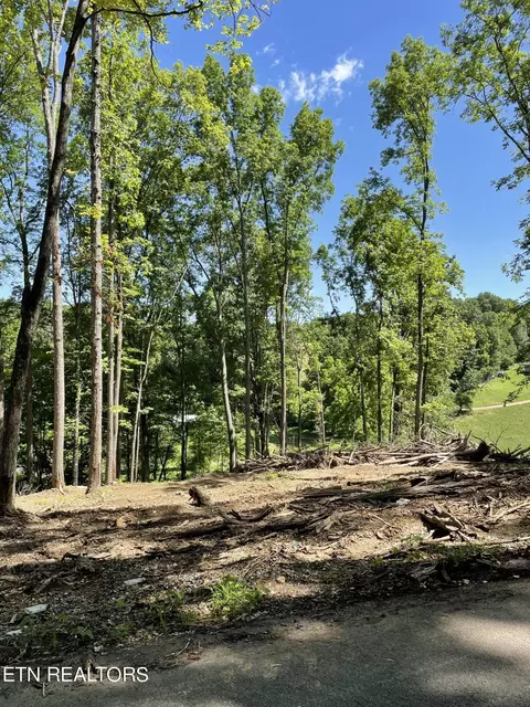 Holt Ridge Rd, Tazewell, TN 37879