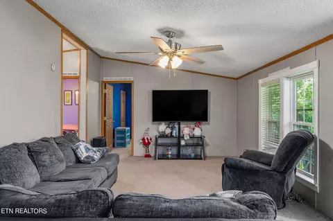 431 Mohawk Valley Rd, Monroe, TN 38573 photo 4
