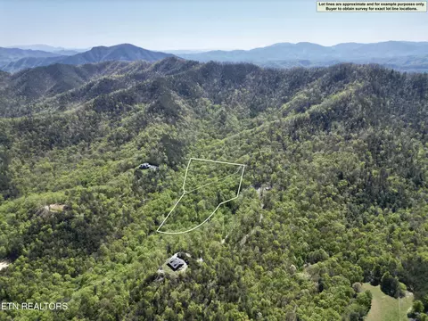 Lot 12 Critter Valley Way, Newport, TN 37821