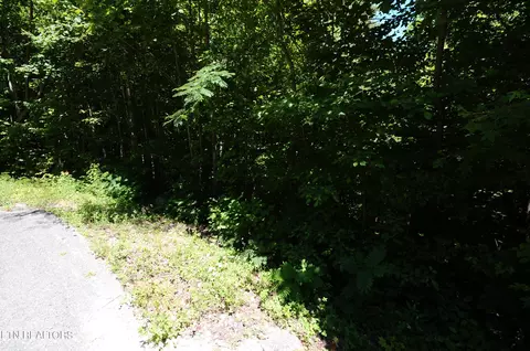 Wolfe Run Lane, Caryville, TN 37714