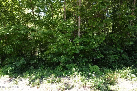 Wolfe Run Lane, Caryville, TN 37714