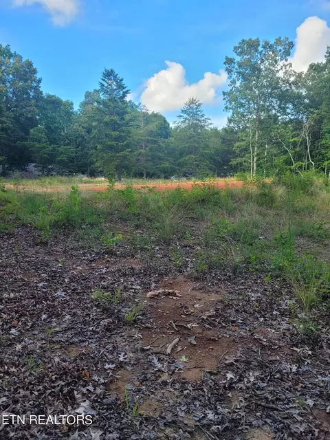 Delk Street, Jamestown, TN 38556