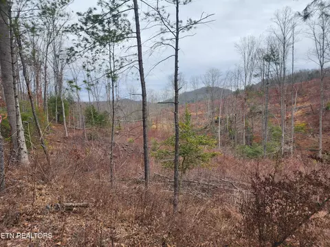 Old Harriman Hwy/morgan County Hwy, Harriman, TN 37748