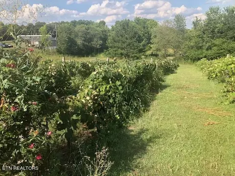 Sweetwater Vonore Rd, Sweetwater, TN 37874
