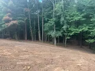 1674 Tilley Rd, Talbott, TN 37877 photo 6