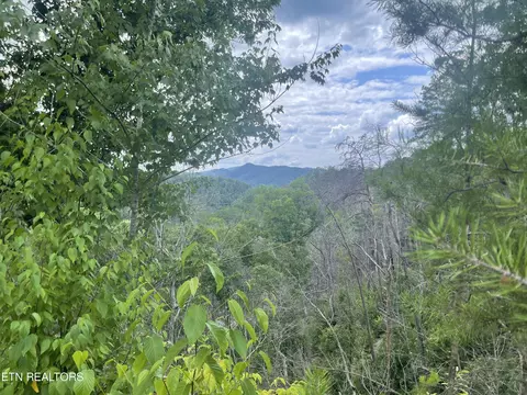 River Birch Way, Sevierville, TN 37862