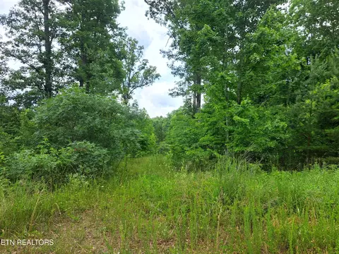 Shelby Way, Clarkrange, TN 38553 photo 6