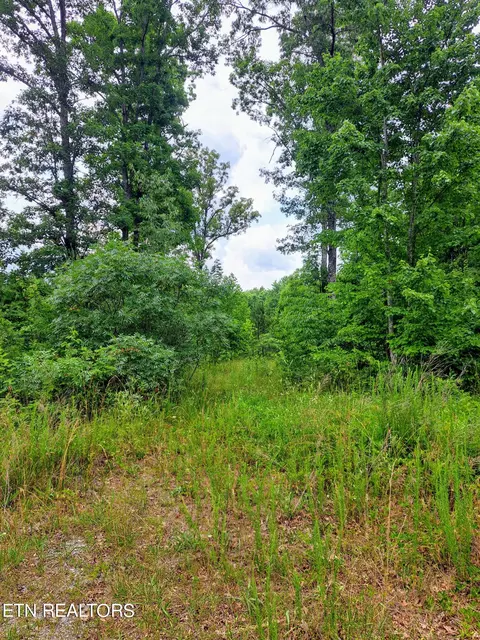 Shelby Way, Clarkrange, TN 38553 photo 5