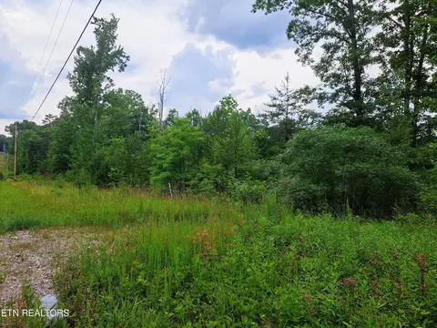Shelby Way, Clarkrange, TN 38553 photo 8