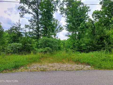 Shelby Way, Clarkrange, TN 38553 photo 3