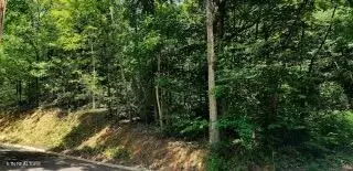 Beverly Hills Drive, Sevierville, TN 37862