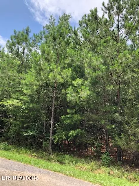 Pinhook Rd, Spring City, TN 37381