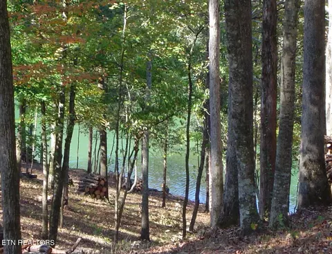 lot125 Saddleridge Dr, Speedwell, TN 37870