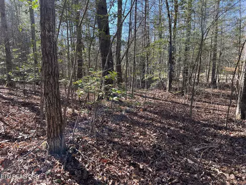 Bear Hollow Rd, Oneida, TN 37841