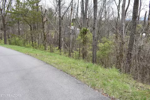 2450 Fawn View Dr, Sevierville, TN 37876