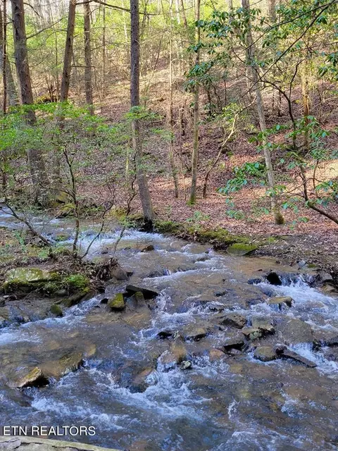 Tall Tree Tr, Dunlap, TN 37327