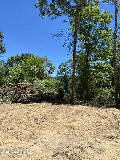 Jurgens Rd, Robbins, TN 37852 photo 2