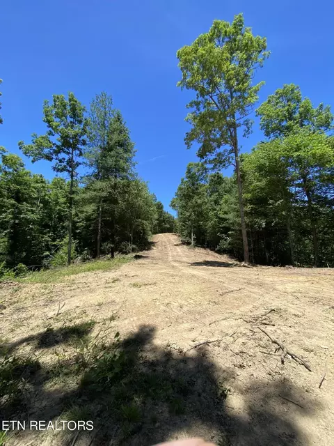Jurgens Rd, Robbins, TN 37852 photo 6
