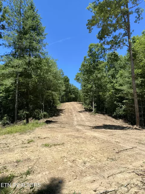 Jurgens Rd, Robbins, TN 37852